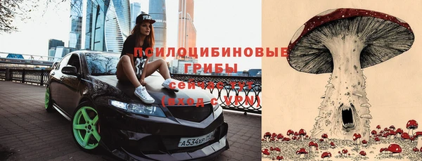 крисы Балахна
