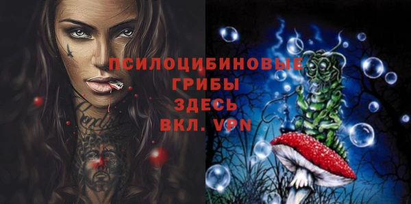 крисы Балахна