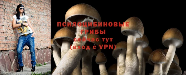 крисы Балахна