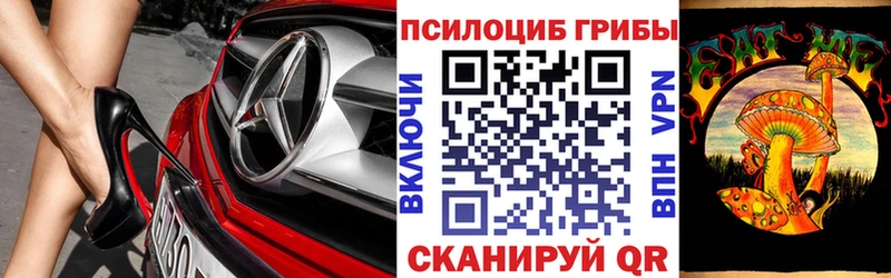 закладка  Константиновск  Галлюциногенные грибы MAGIC MUSHROOMS 